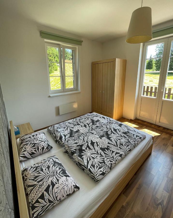 Staré Hamry Apartman V Beskydech מראה חיצוני תמונה